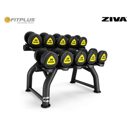 Ziva St2 1 10 Kg Studio Dumbbell Rack Fponline