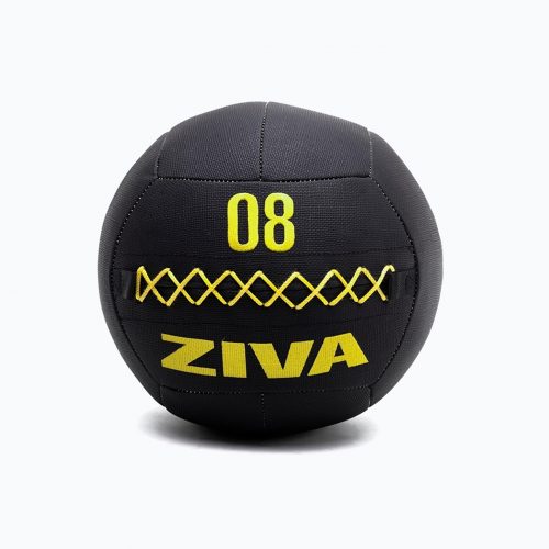 ZVO PREMIUM WALL BALLS 3KG - FPONLINE